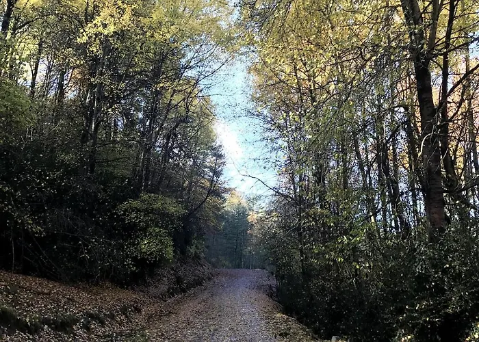 Benasque Valley アパート